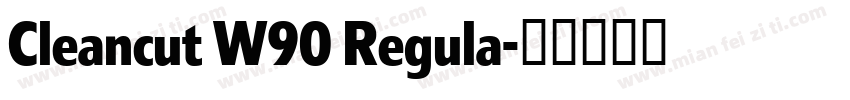 Cleancut W90 Regula字体转换
